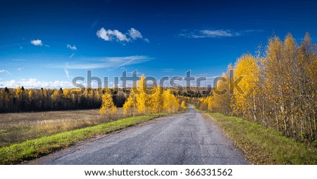 Autumn road under the blue sky