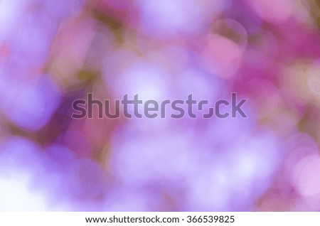 background with abstract blurred foliage and bright summer sunlight for your text or advertisment