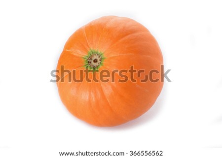 backside of a small pumpkin on white background,