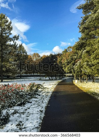 Picture of a snowy autumn road in a park in Moscow, Russia