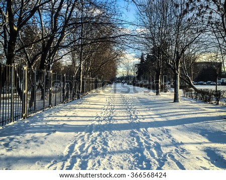 Picture of a snowy path in a park in Moscow, Russia