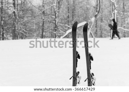 Winter landscape on mountain,ski in the snow.In the moment of taking a picture, it snowed. In the background is forest covered with snow.Skier is passing with his snowboard.Black and white photo.