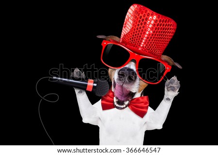 jack russell terrier dog isolated on black background singing with microphone a karaoke song in a night club
