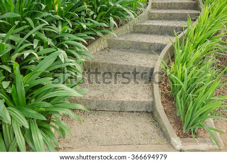 Old cement stair in garden