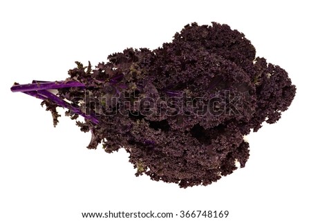 Bunch of fresh red kale over a white background Royalty-Free Stock Photo #366748169