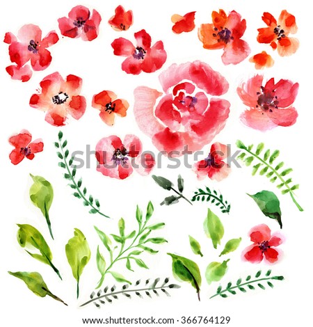 Set of Watercolor Flowers and Leaves With Hand Painted for design Cards, Invitations, Posters and other designs.