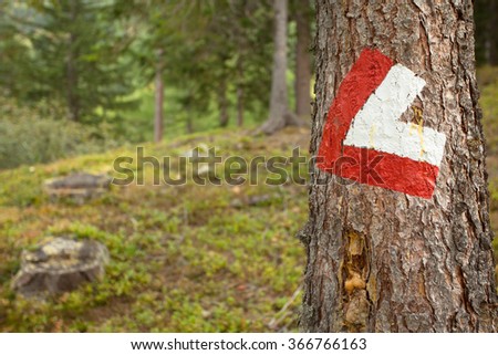 Red and white path sign painted in a pine tree inside a woods, in a cloudy day.