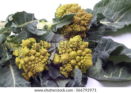 Romanesco broccoli or Roman cauliflower on white
