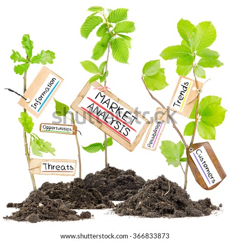 Photo of plants growing from soil heaps with MARKET ANALYSIS conceptual words written on paper cards