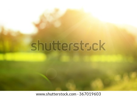 Blur nature green park with sun light abstract background.