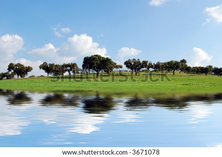 Landscape - group of trees in green field, the blue sky and white clouds - Water reflection