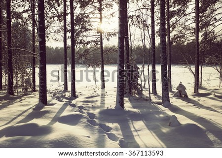 A walk in the wintry forest. An image of a path in a deep snow in Finland. Image taken during cold winter day and the sun is going down behind the forest. Image has a vintage effect applied.