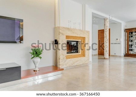 Picture of large fireplace in living room of posh villa
