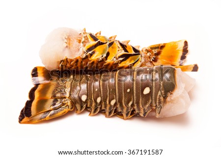 Raw Caribbean ( Bahamas ) rock lobster (Panuliirus argus) or spiny lobster tails isolated on a white studio background. Royalty-Free Stock Photo #367191587