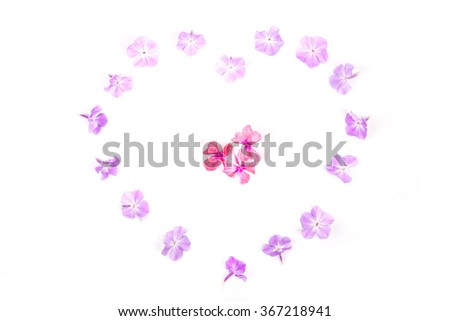 Heart from the phlox petals on a white background