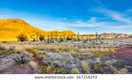 John Day Fossil Beds National Monument, Oregon