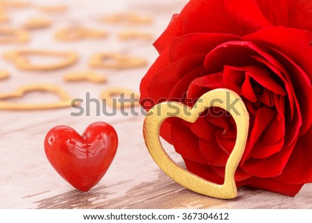 Valentines day in romance with red rose