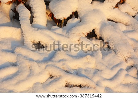 Snow texture. Picture can be used as a background