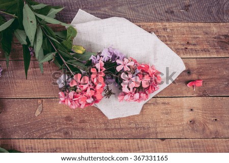 phlox on a wooden background