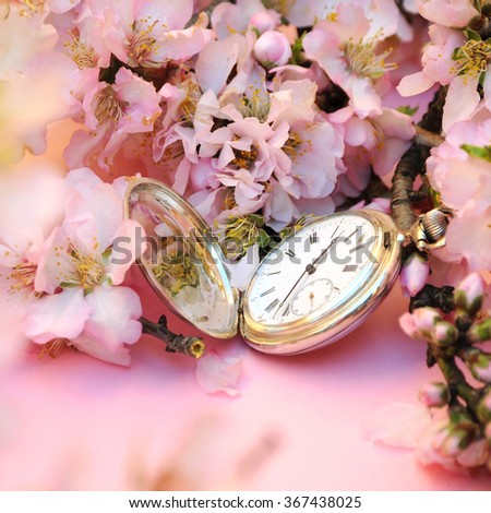 Spring concept. Almond flowers with vintage silver pocket watch.