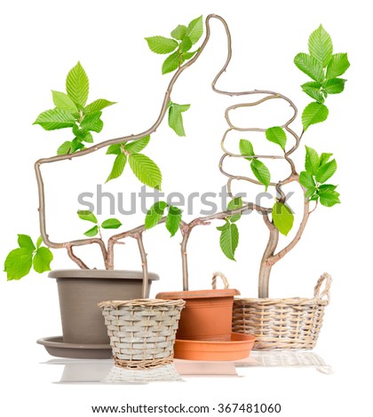 Photo of plants growing from pots forming thumb up isolated on white