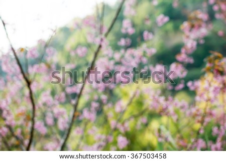 Picture blur flower nature,Giant tiger flower