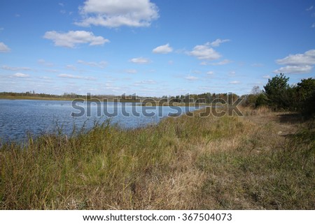 A pond or lake with trees in summer
