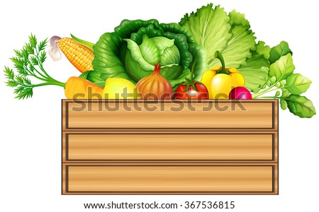 Fresh vegetables in a box illustration