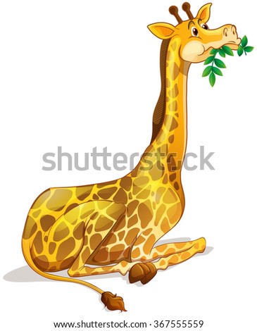 Cute giraffe chewing on leaves illustration
