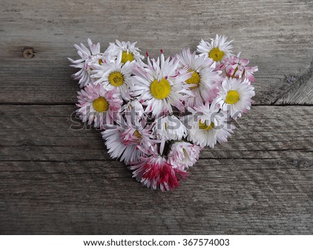 daisies flowers in heart shape on wooden background