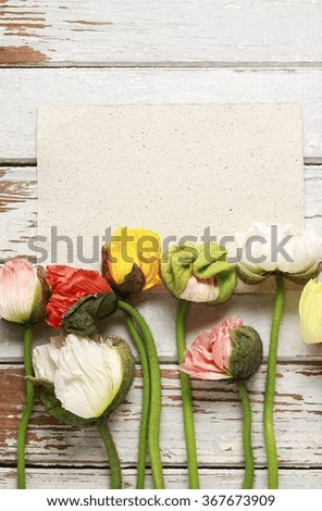 Poppy flowers on wooden background, copy space