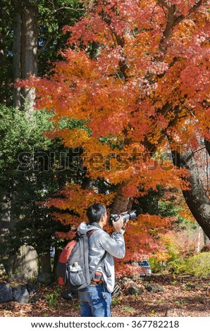 The young man was photographed colorful autumn in Japan.