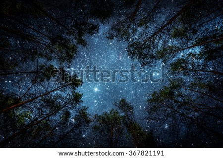 Beautiful night sky, the Milky Way and the trees. Elements of this image furnished by NASA. Royalty-Free Stock Photo #367821191