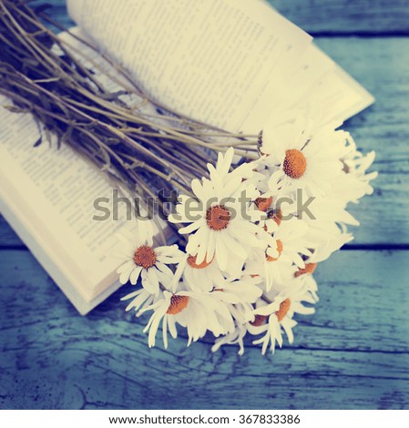 Vintage book with bouquet of daisy flowers against nature background/ summer garden background
