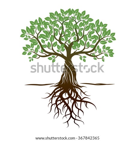 Color Tree and Roots. Vector Illustration. Royalty-Free Stock Photo #367842365