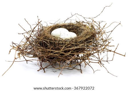 bird nest with two eggs isolated on white background Royalty-Free Stock Photo #367922072