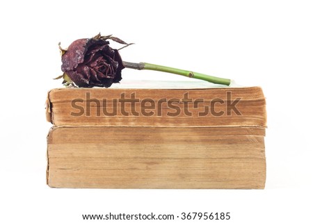 Dried rose and old books on white background, selective focus.