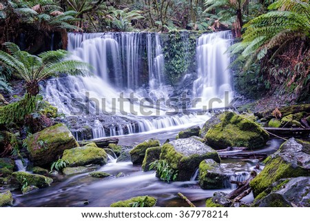 Secluded waterfall in tropical rainforest. Horseshoe Falls in Mount Field National Park, Tasmania, Australia