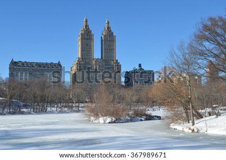 Central Park in the winter on January 24, 2016, New York City