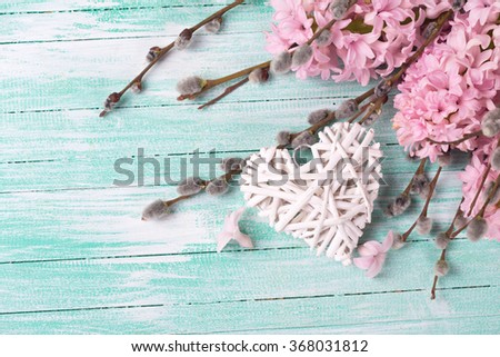 White decorative heart with hyacinths and  willow flowers   on turquoise painted wooden planks. Selective focus.

