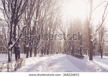 Winter park in snow, sunny day. Retro colours