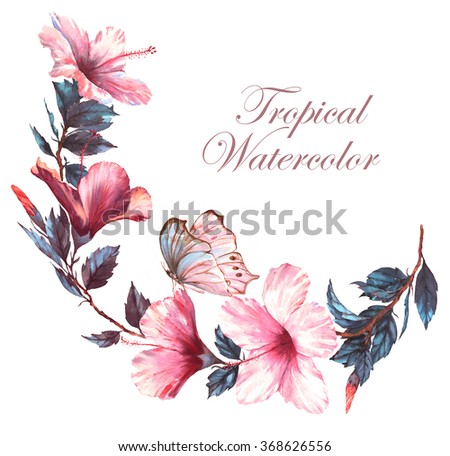 Hand-drawn  watercolor floral illustration of the tender white composition with pink hibiscus flowers and the tropical butterfly. Natural drawing isolated on the white background. Romantic blossom.