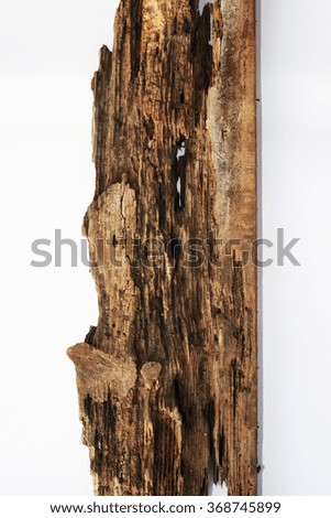 Weathered obsolete cracked wooden texture background grunge on white background old tree