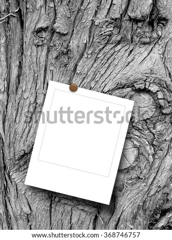 Close-up of one blank square instant photo frame with pin on monochrome tree bark background