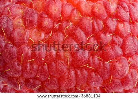 Raspberry  background