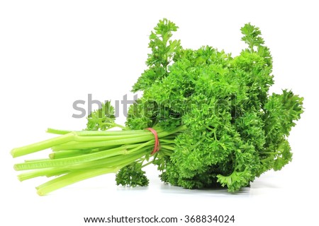 bunch of curly leaf parsley isolated on white background