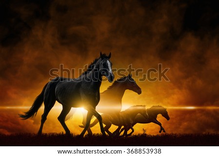 Dramatic apocalyptic background - four running black horses, red glowing clouds