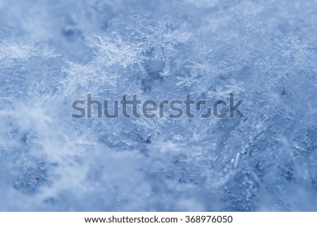 Macro of a snowflake in natural surroundings.