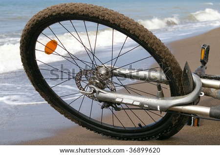Bicycle wheel on sea sandy coast