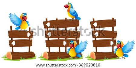 Parrots by the wooden sign illustration